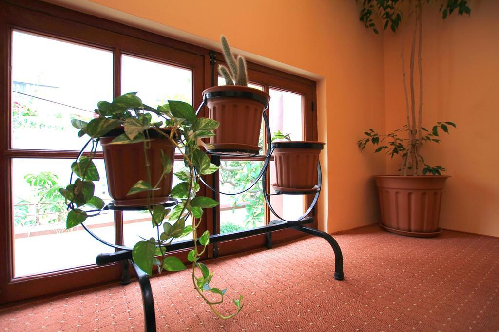 Hotel Anastasia Rhodes City エクステリア 写真
